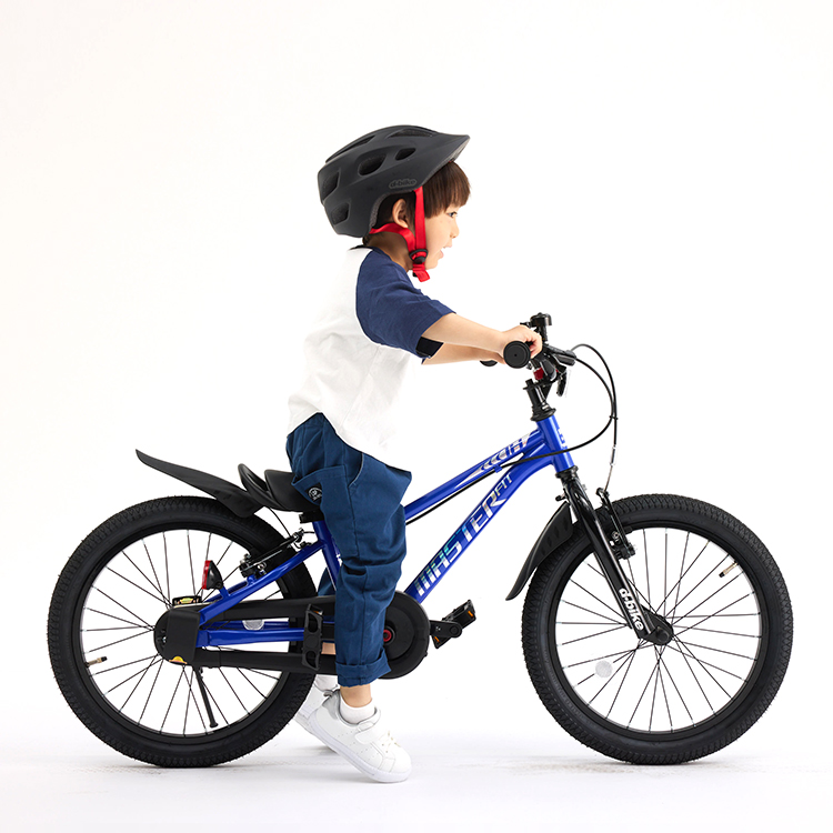 はじめて〉専用子ども自転車 D-Bike Master Fit